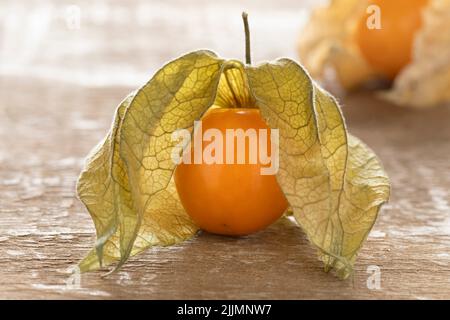 Einzelne frische Cape Stachelbeere, Physalis peruviana, mit Schale auf Holzhintergrund aus nächster Nähe Stockfoto