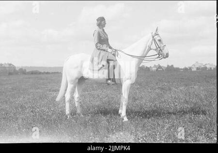 Ingrid von Essen zu Pferd, Ehefrau des Reiters bei K 3 Peter von Essen. Stockfoto