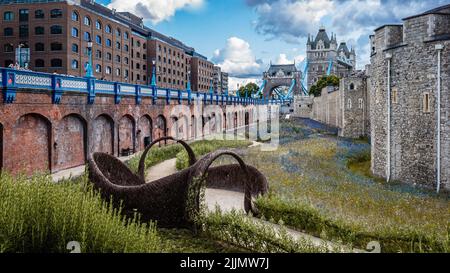 Auf dem Gelände des Tower of London blühen wilde Blumen. Stockfoto