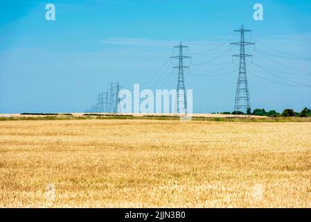 Stromleitungen in der Nähe von Faversham in Kent, England Stockfoto