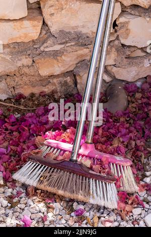 Zwei Bürsten oder Besen, die im Herbst zum Fegen herabfallender Blätter und Blütenblätter verwendet werden, im Garten gärtnern, den Garten aufräumen, heruntergefallene Blätter im Garten aufräumen. Stockfoto