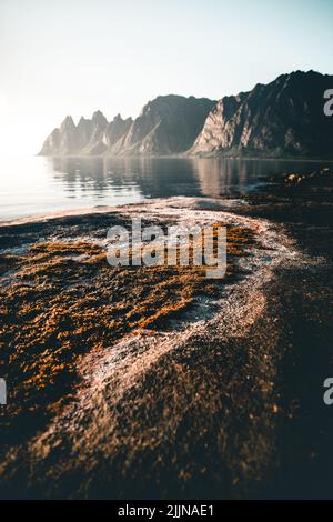 Eine malerische Aussicht auf die Devil's Teeth Berge gegen blauen Himmel an einem sonnigen Tag, Tungeneset, Okshornan, Senja, Norwegen Stockfoto