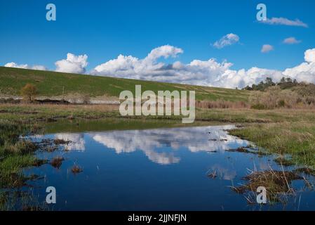 Die Spiegelung der Wolken in einem See in Folsom, CA Stockfoto