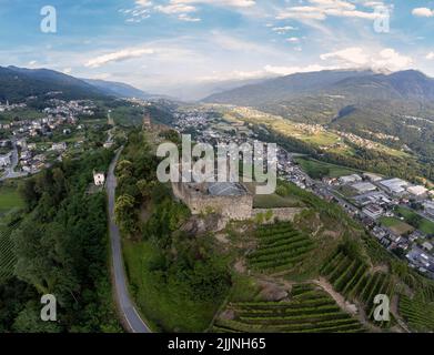 Luftaufnahme der alten Ruine und terrassenförmig angelegten Weinberge in den Hügeln von Valtellina, Sondrio, Lombardei, Italien Stockfoto