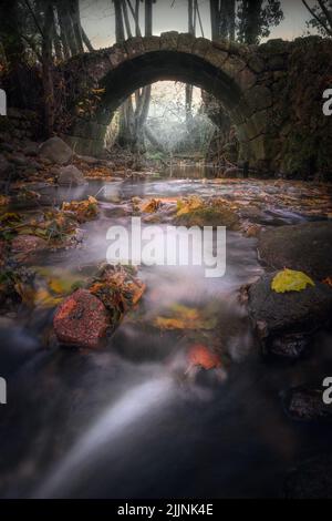 Eine vertikale Aufnahme einer Brücke in einem Wald in Extremadura Stockfoto