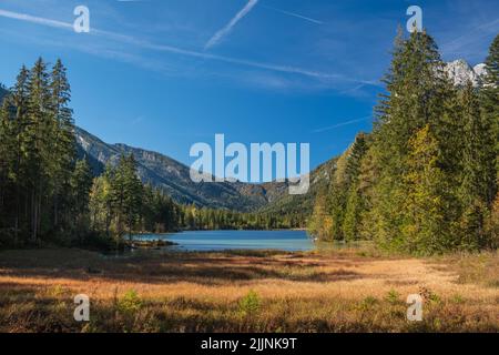 Die schöne Sommerlandschaft mit dem See umgeben von Pinien. Stockfoto