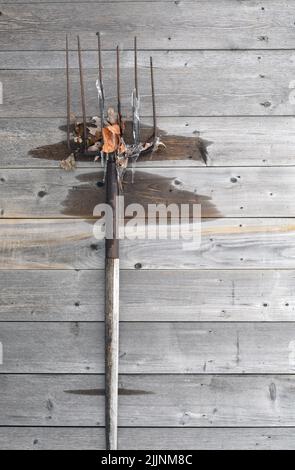 Eine vertikale Aufnahme einer rostigen Pitchfork auf einer hölzernen Oberfläche Stockfoto