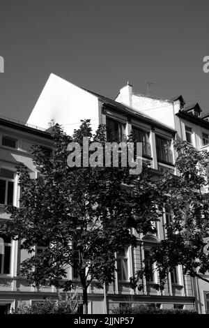 Eine Graustufe von Bäumen vor einem Wohnhaus Stockfoto