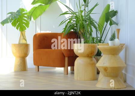 Orangefarbener Sessel zwischen Zimmerpflanzen in der Ecke des Wohnzimmers Stockfoto