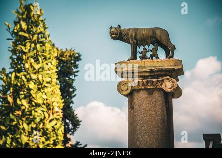 Eine Nahaufnahme der Kapitolinischen Wolf-Skulptur in Rom, Italien Stockfoto