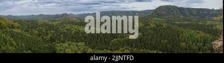 Eine Panoramaaufnahme eines großen grünen Waldes im ländlichen Deutschland Stockfoto