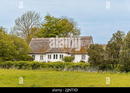 Altes Landhaus mit Reetdach, Dänemark, 10. Mai 2020 Stockfoto