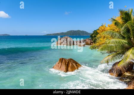 Atemberaubende Natur auf paradiesischer tropischer Insel mit grünen Palmen und Granitfelsen. Erstaunliches türkisfarbenes Wasser des Ozeans auf den Seychellen. Stockfoto