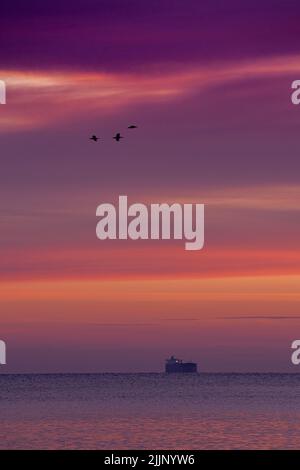 Vertikale Aufnahme von faszinierendem Sonnenuntergang mit dem Meer und Silhouetten von Vögeln, die am Himmel fliegen Stockfoto