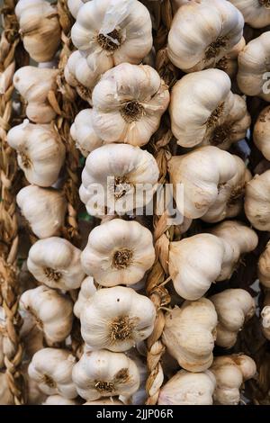 Tagsüber hängt am Schalter auf dem lokalen Markt frischer, ungeschälter Knoblauch in Büschel Stockfoto