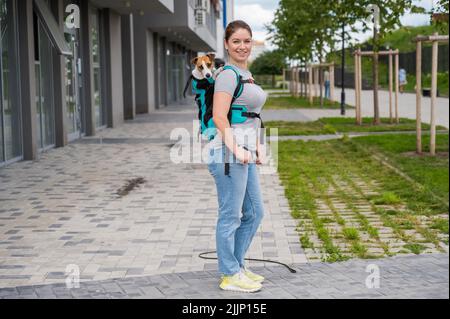 Kaukasische Frau, die im Freien mit Hundejacker russell Terrier in einem speziellen Rucksack läuft. Stockfoto