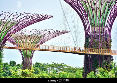 Eine Luftaufnahme des farbenfrohen Marina Bay Supertree Grove in Singapur unter einem klaren blauen Himmel Stockfoto