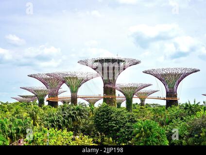 Eine Luftaufnahme der abstrakten Strukturen am Marina Bay Supertree Grove in Singapur, umgeben von üppigem Grün Stockfoto