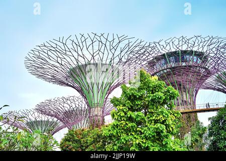 Eine Luftaufnahme der lebendigen abstrakten Gebäude am Marina Bay Supertree Grove in Singapur Stockfoto