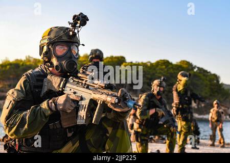 MARINESTÜTZUNGSAKTIVITÄTEN SOUDA BAY, Griechenland (21. Juli 2022) – Schwedische Marine mit 4. Marine-Regiment, schwedisches Amphibienkorps führen während der Übung TYR 22 im NATO Maritime Interdiction Operational Training Center (NMIOTC) in Souda Bay, Griechenland, 21. Juli 2022 ein Razzia-Training durch. TYR 22 ist eine maritime Interdiktionsübung, die bei NMIOTC durchgeführt wird und die schwedische Marine, US-Marine und Kampfkommandantinnen der US-Marine zusammenbringt, um die operativen Kapazitäten, Fähigkeiten und Interoperabilität der US- und NATO-Partner zu verbessern. (USA Navy Foto von Mass Communication Specialist 2. Klasse Jaco Stockfoto