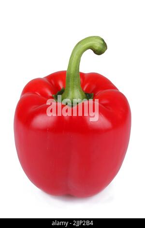 Eine vertikale Aufnahme von rotem Paprika isoliert auf weißem Hintergrund Stockfoto