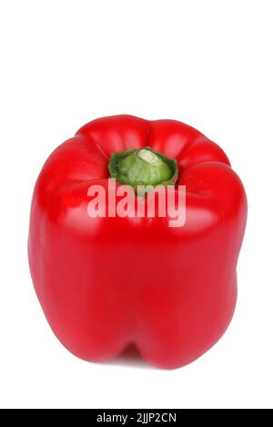 Eine vertikale Aufnahme von rotem Paprika isoliert auf weißem Hintergrund Stockfoto