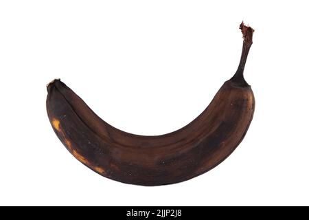 Eine verfaulte Banane, isoliert auf weißem Hintergrund. Stockfoto