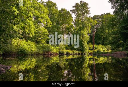 Eine malerische Aussicht auf einen kleinen See, umgeben von grünen Bäumen, die sich im Wasser spiegeln, Linn Country Park, Schottland Stockfoto