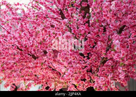 Die chinesische Neujahrsblüte ist eine gefälschte Blütenpflaumenblume Stockfoto