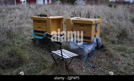 Eine Nahaufnahme von zwei Bienenstöcken und einem kleinen Stuhl auf einem Feld Stockfoto