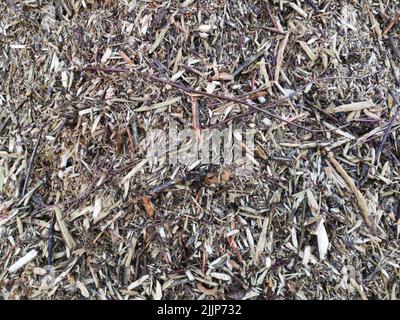 Eine Nahaufnahme von trockenen Blättern und Holzhackschnitzeln auf dem Boden Stockfoto