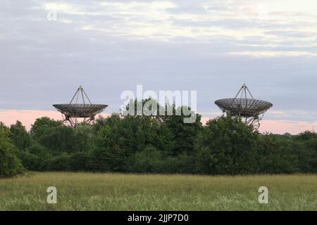 Zwei der One-Mile Telescope Antennen, die zusammen hinter einer Reihe von Bäumen am Mullard Radio Astronomy Observatory, Cambridge, gesehen werden Stockfoto