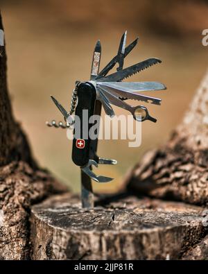 Nahaufnahme eines Schweizer Taschenmessers auf einem geschnittenen Baumstamm Stockfoto