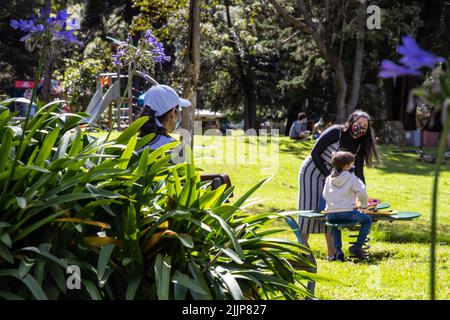 BOGOTA, KOLUMBIEN - NOVEMBER, 2020: Sonniger Tag in den schönen Gärten des Chico Park and Museum Stockfoto