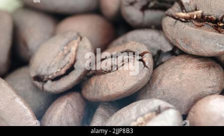 Die Nahaufnahme der Kaffeesamen Stockfoto