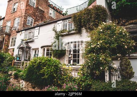 Ein altes englisches weißes Häuschen mit Pflanzen in England, Großbritannien Stockfoto