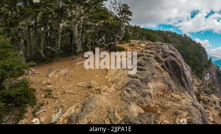 Eine Klippe mit einem Wald bei Cerro Mackay, Coyhaique, Chile Stockfoto
