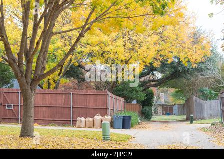 Ruhige Hintergasse mit wunderschöner Decke aus gefallenen Blättern im Vorstadthaus in der Nähe von Dallas, Texas, Amerika Stockfoto