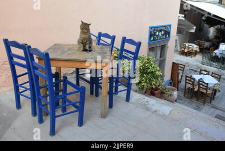 Eine gestreifte Katze, die auf dem Gehsteig einer Taverne in Nafplio, Griechenland, sitzt Stockfoto