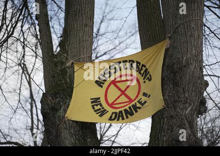 Ein Banner der Umweltbewegung „Extinction Rebellion“, das an Bäumen hängt Stockfoto