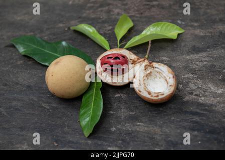 Nahaufnahme von frischer Muskatnuss auf einem Tisch, Maluku-Inseln, Indonesien Stockfoto