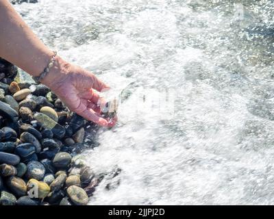 Eine Hand mit einem Armband aus Steinen hält einen Kieselstein in der Nähe des Wassers. Meereswelle und weibliche Hand. Spüren Sie die Welle. Kieselstrand. Seeufer Stockfoto