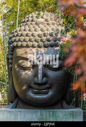 Eine vertikale Aufnahme einer Statue von Gautama Buddha an einem sonnigen Tag Stockfoto