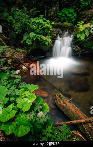 Eine malerische Aussicht auf einen kleinen Wasserfall in einem Wald Stockfoto