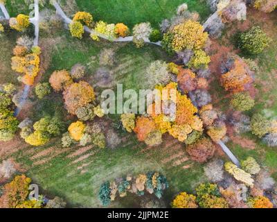 Herbst in Locke Park in Barnsley Drohnenfotografie, Oktober, Herbstblätter, England, Großbritannien Stockfoto