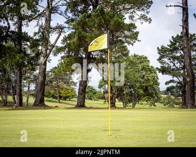 Blick auf das Gelände des Golfplatzes von Musick Point, gelber flagstick-Stift. Auckland, Neuseeland - 13. Februar 2022 Stockfoto