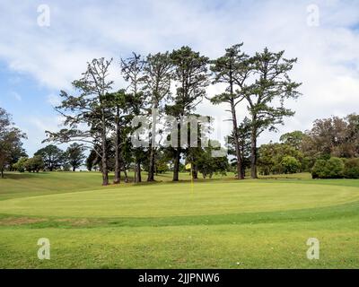 Blick auf das Gelände des Golfplatzes von Musick Point, gelber flagstick-Stift. Auckland, Neuseeland - 13. Februar 2022 Stockfoto