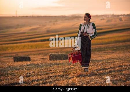 Eine junge rumänische Frau in einem traditionellen Kostüm und Korb posiert auf dem Feld bei Sonnenuntergang Stockfoto