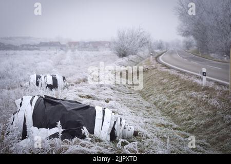 Ein Gerstenfeld, das im Winter mit weißem Frost bedeckt ist, mit einer Straße auf der rechten Seite, die zum Dorf führt Stockfoto