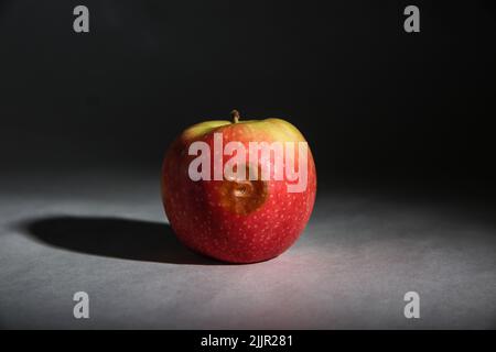 Ein roter Apfel mit einem verfaulten Fleck auf einer grauen Oberfläche unter Studiobeleuchtung Stockfoto